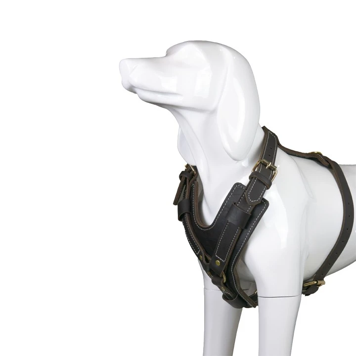 Leather Dog Harness