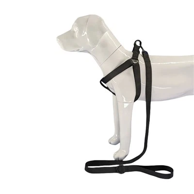 Siyah Köpek Tasması