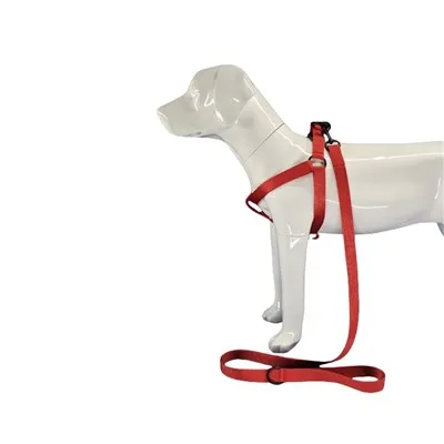 Kırmızı Köpek Tasması