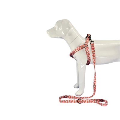Çilek Köpek Tasması
